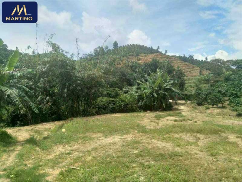 Bán đất vườn sào tại Lộc Thanh Bảo Lâm Bán đất vườn sào tại Lộc Thanh Bảo Lâm