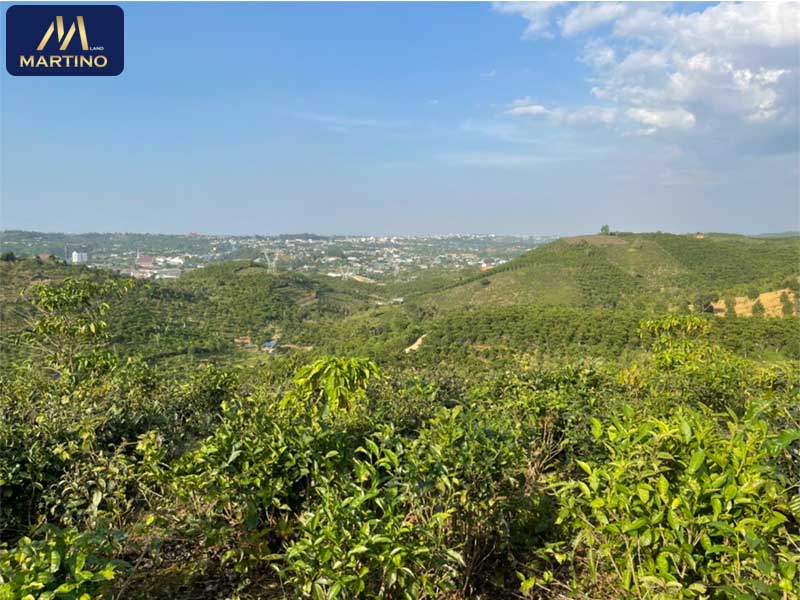 Đất sào xã Lộc Châu Bảo Lộc Lâm Đồng Đất sào xã Lộc Châu Bảo Lộc Lâm Đồng