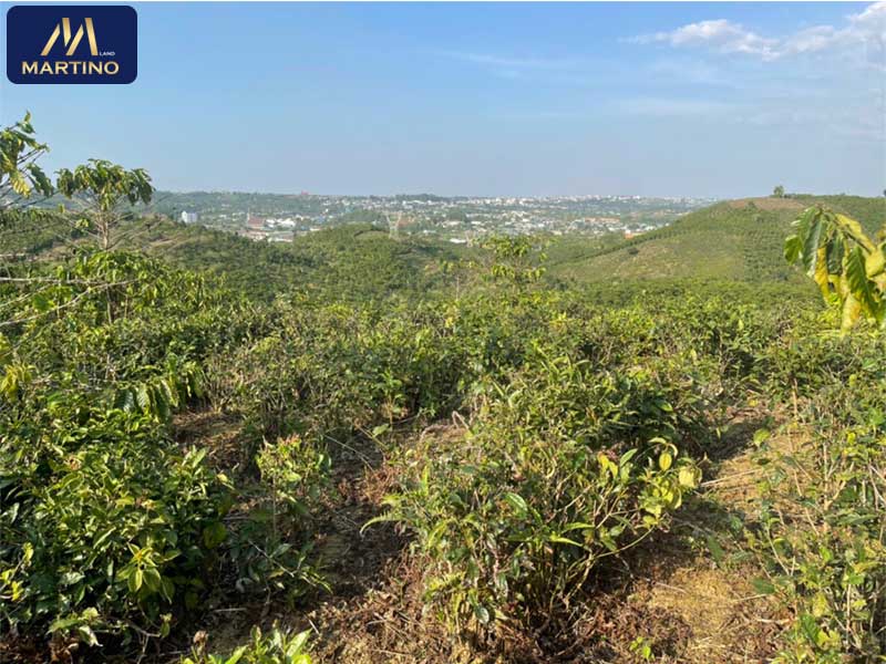 Đất sào xã Lộc Châu Bảo Lộc Lâm Đồng Đất sào xã Lộc Châu Bảo Lộc Lâm Đồng