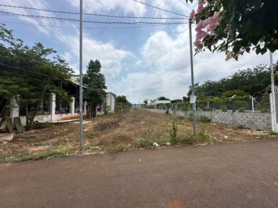 Đất vườn Bà Rịa Vũng Tàu 1000m2 Long Phước giá 3.2 tỷ cơ hội đầu tư