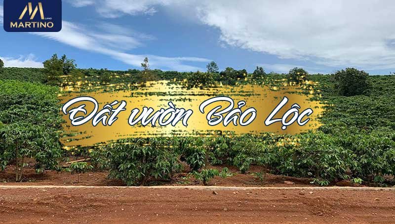 đất vườn bảo lộc