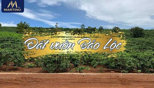 Có Nên Lựa Chọn Đầu Tư Đất Vườn Bảo Lộc?