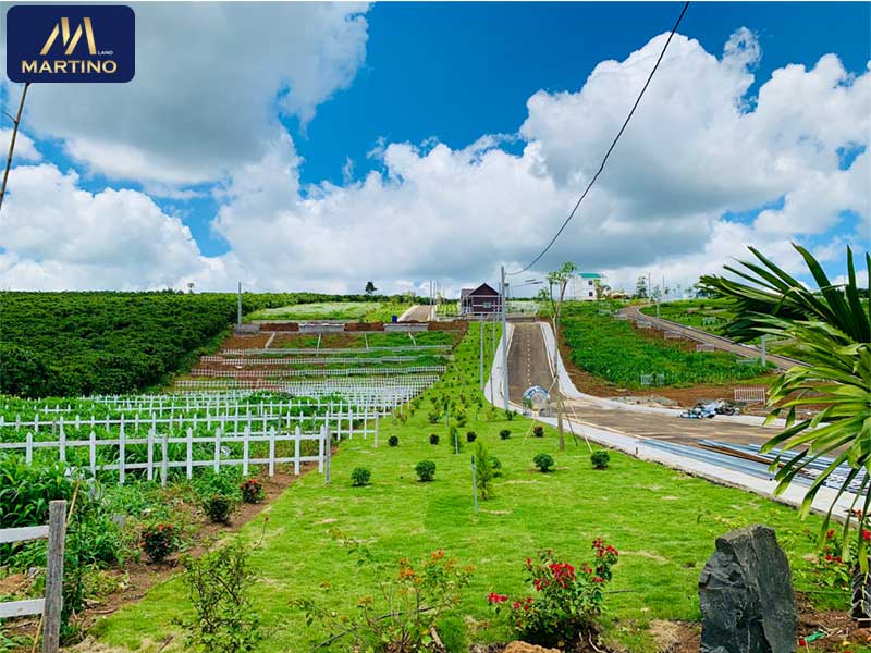 Có nên đầu tư BĐS Bảo Lộc