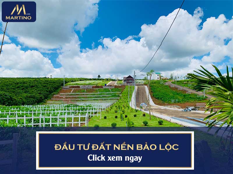 Đầu tư đất nền Bảo Lộc