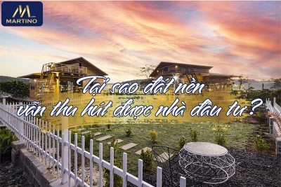 Tại Sao Đất Nền Vẫn Thu Hút Người Mua?  Tại Sao Đất Nền Vẫn Thu Hút Người Mua?