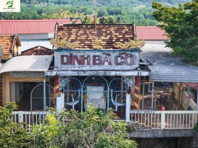 Review Dinh Bà Cố – Vẻ đẹp hoang sơ, linh thiêng giữa lòng Long Điền