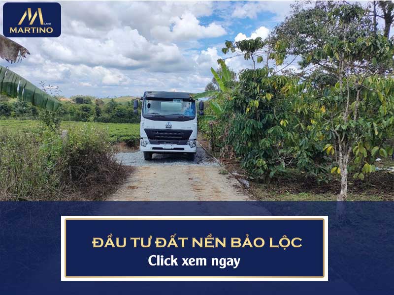 Mua bán nhà đất Bảo Lộc Mua bán nhà đất Bảo Lộc