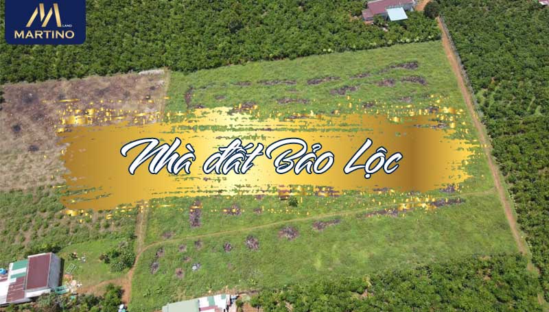 Nhà đất Bảo Lộc Nhà đất Bảo Lộc