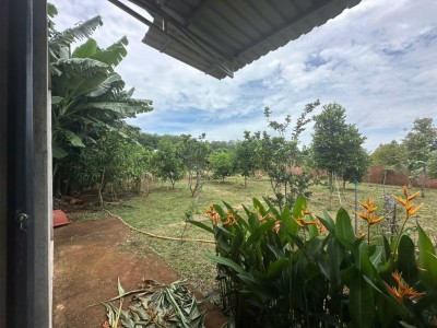 Nhà vườn 1.700m² Long Tân có nhà cấp 4 – 2,65 tỷ
