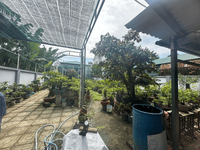 Bán Nhà Vườn Long Điền Mặt Tiền Phan Đăng Lưu Gần Chợ An Ngãi – Giá Chỉ 10 Triệu/m²