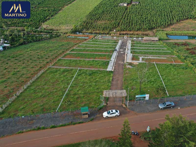 Nguuyên nhân Sốt đất tại Bảo Lộc