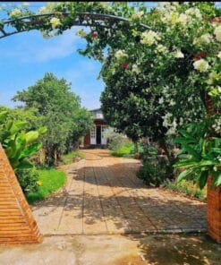 Bán nhà vườn Bà Rịa, Long Phước, 453m², giá 3.4 tỷ