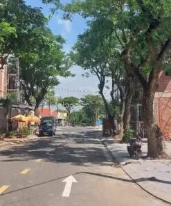 Bán đất Tái Định Cư Long Điền
