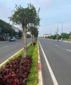 Bán lô đất mặt tiền đường 3/2 phường Phước Hưng