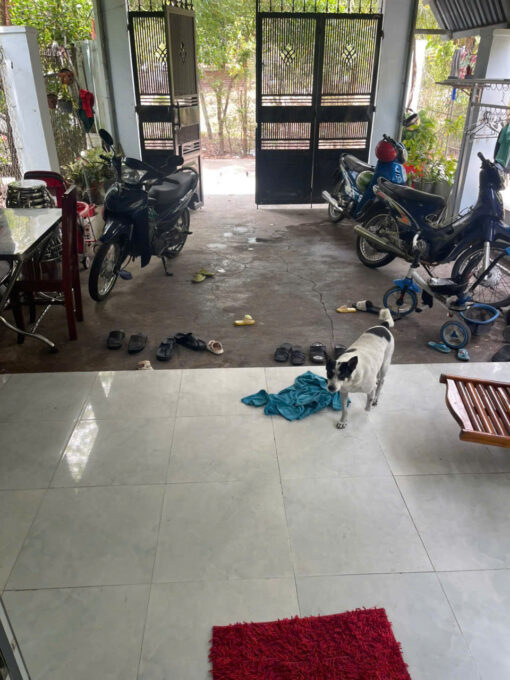 Bán nhà An Nhứt TT Long Điền