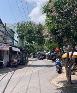 Bán đất tặng nhà cấp 4 mặt tiền đường Đô Lương