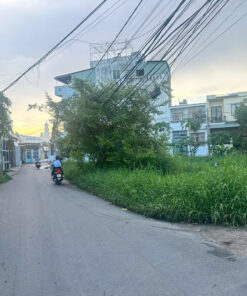Bán đất nông nghiệp sổ riêng P12
