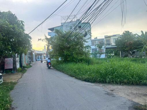 Bán đất nông nghiệp sổ riêng P12