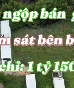 Đất Long Điền Giá Rẻ