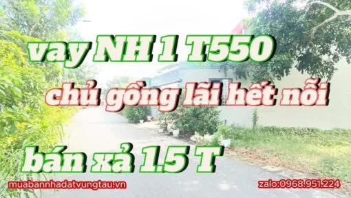 Bán đất Long Điền