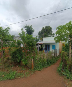 công ty Đông In, Đất Đỏ