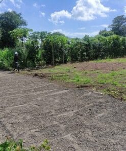 Bán đất Trung Tâm Thị Trấn Đất Đỏ