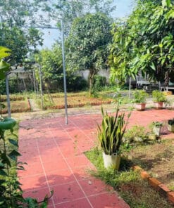Bán Nhà Vườn Long Phước Bà Rịa